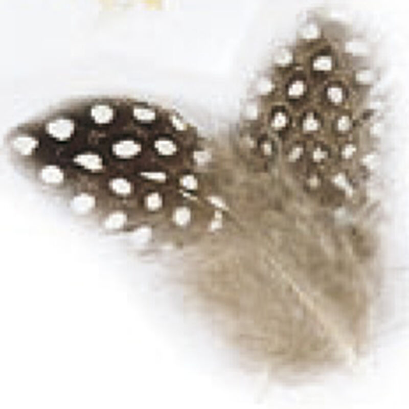 Fly tying plumes jmc pintade naturelle - Plumes | Pacific P&ecirc;che