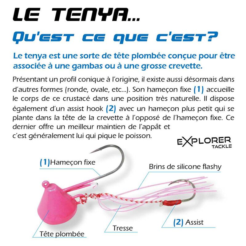 T&ecirc;te plomb&eacute;e explorer tackle magic tenya deep moule - Leurres Mada&iuml; et Tenya | Pacific P&ecirc;che