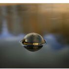 Sondeur Deeper Chirp + 3D - Sondeurs | Pacific P&ecirc;che