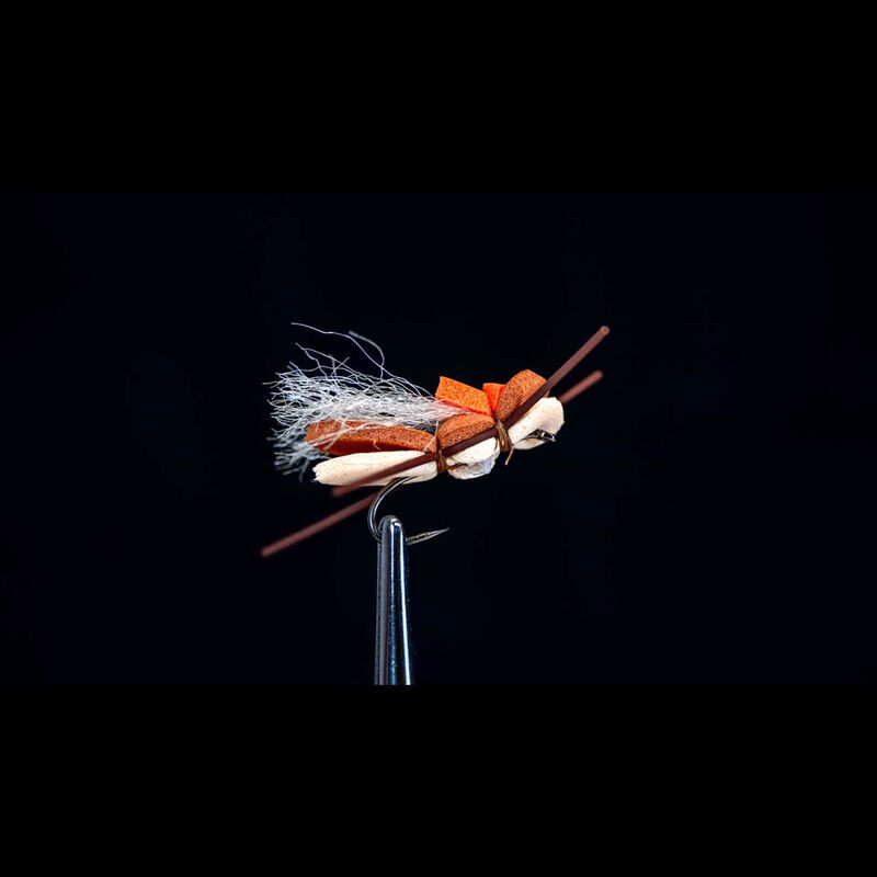 Criquet H10 (x3) - S&egrave;ches | Pacific P&ecirc;che
