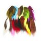 Couleurs