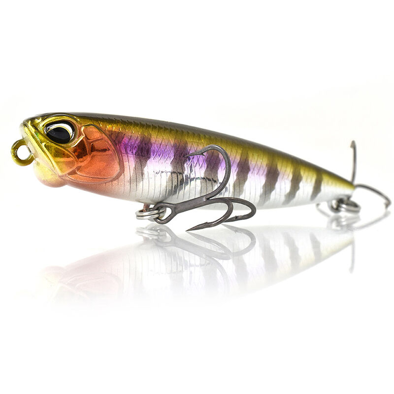 Leurre Dur Stickbait DUO Realis Pencil 65 FW 6,5cm, 5,5g - Surface | Pacific P&ecirc;che