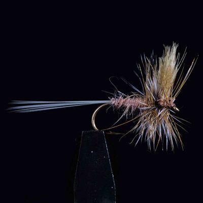 March Brown JMC 3 H14 (x3) - S&egrave;ches | Pacific P&ecirc;che