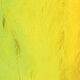 Couleurs