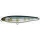 Couleurs