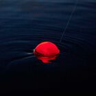 Couvercle Orange Deeper Pour P&ecirc;che De Nuit - Sondeurs/Gps | Pacific P&ecirc;che