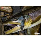 Leurre Dur Swimbait Biwaa S'trout 9cm, 8g - Swimbaits | Pacific P&ecirc;che