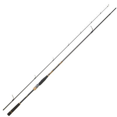 Canne Spinning DAIWA Morethan Branzino Expert 2m24 10-35g - Cannes lancer | Pacific P&ecirc;che