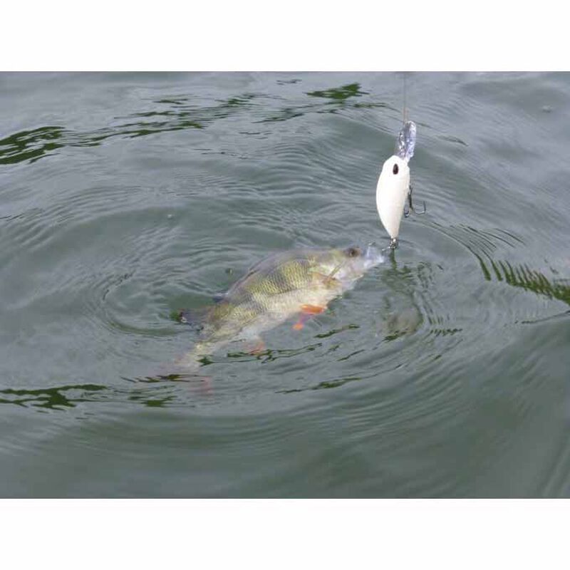 Leurre Dur Crankbait Duo Realis Crank M65 11A 6.5cm, 16g - Crankbaits | Pacific P&ecirc;che