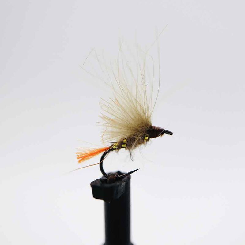 S&egrave;che Tag orange en ORL H18 (x3) - S&egrave;ches | Pacific P&ecirc;che