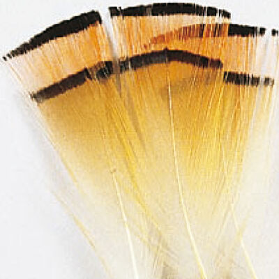 Fly tying plumes colerette faisan dor&eacute; jmc - Plumes | Pacific P&ecirc;che