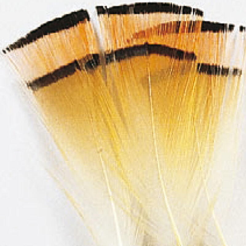 Fly tying plumes colerette faisan dor&eacute; jmc - Plumes | Pacific P&ecirc;che