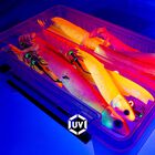Leurre Souple Fiiish Simple Combo Shore 12 g - Leurres souples | Pacific P&ecirc;che
