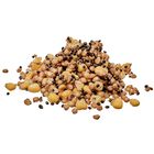 Graines Cuites Starbaits Ready Seed Spod Mix - Pr&ecirc;tes &agrave; l'emploi | Pacific P&ecirc;che