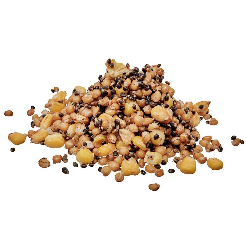 Graines Cuites Starbaits Ready Seed Spod Mix - Pr&ecirc;tes &agrave; l'emploi | Pacific P&ecirc;che