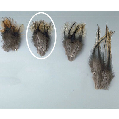 Fly tying jmc plumes de pardo pelle de cape grade 1 - Plumes | Pacific P&ecirc;che