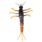 Leurre Souple Ecrevisse Savage Gear 3D Tpe Mayfly Nymph 5cm, 2.5g - Ecrevisses / Cr&eacute;atures | Pacific P&ecirc;che