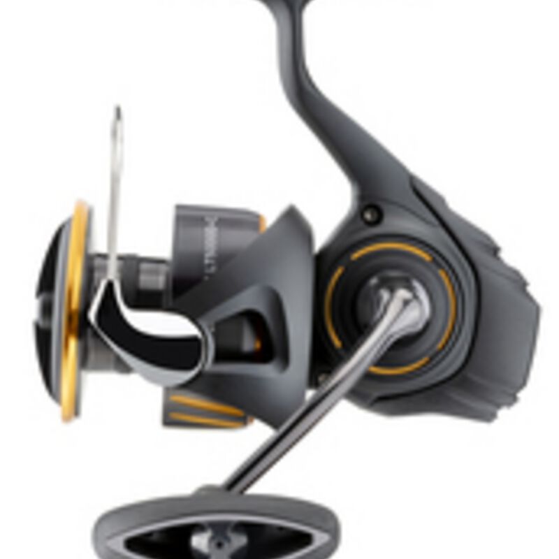 Moulinet Daiwa BG 27 LT 5000 D C - Moulinets tambour Fixe | Pacific P&ecirc;che