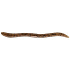 Leurre Souple Worm Illex Flick Shake 12cm (x8) - Worms | Pacific P&ecirc;che