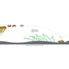 Bas de ligne mont&eacute; silure madcat screaming basic river worm & squid - Filaments / Bas de lignes | Pacific P&ecirc;che