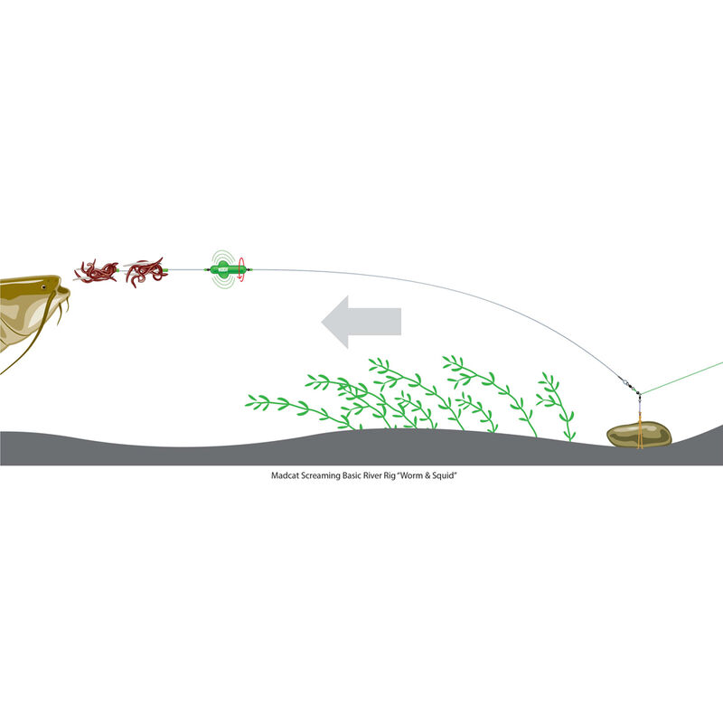 Bas de ligne mont&eacute; silure madcat screaming basic river worm & squid - Filaments / Bas de lignes | Pacific P&ecirc;che