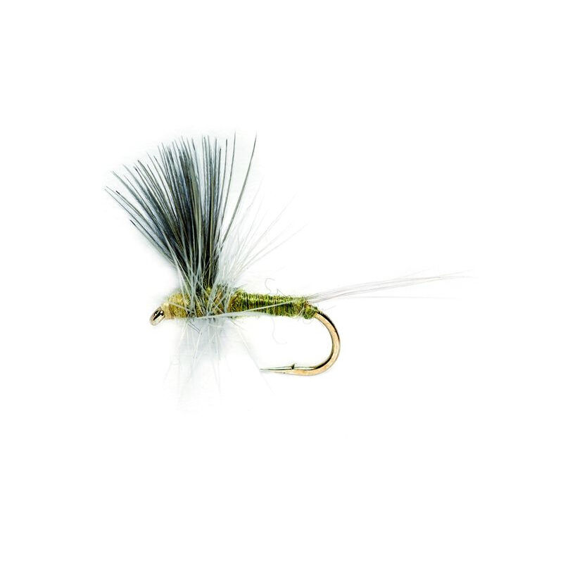 Mouche s&egrave;che silverstone bwo aile cdc h18 (x3) - S&egrave;ches | Pacific P&ecirc;che