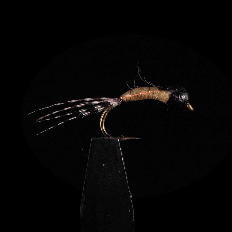 Perdigone JMC PG3 H14 (x3) - Nymphes | Pacific P&ecirc;che