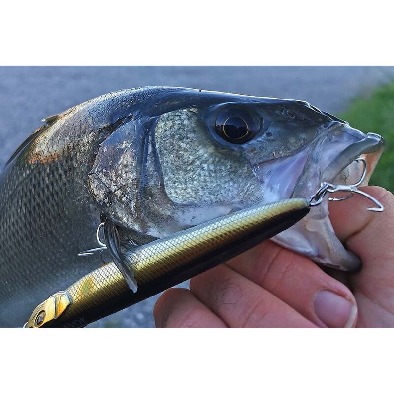 Leurre de Surface Stickbait Evok Loki Stick 110 SW (12.5g) - Leurres poppers / Stickbaits | Pacific P&ecirc;che