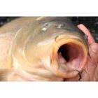 Hame&ccedil;on carpe korda mixa (x10) - Hame&ccedil;ons | Pacific P&ecirc;che