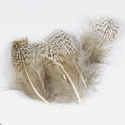 Fly tying plumes perdrix grise jmc - Plumes | Pacific P&ecirc;che