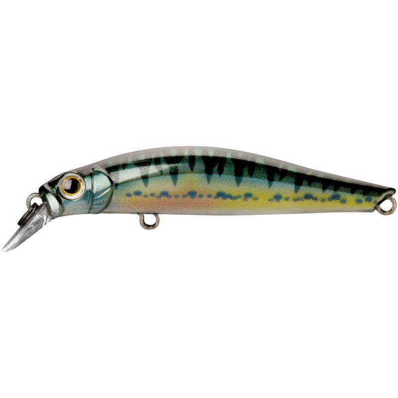 Leurre Dur Jerkbait Jackson Artist FR55 5.5cm, 4g - Jerkbaits | Pacific P&ecirc;che
