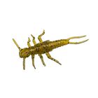 Leurres fishup stonefly 0.9" x12 (pl&eacute;copt&egrave;re) - Cr&eacute;atures / imitations  | Pacific P&ecirc;che