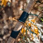 Canne GARBOLINO Optima XS VM - Cannes multi-brins | Pacific P&ecirc;che