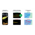 Pack Deeper Chirp+ 3D sondeur sans fil avec GPS et cr&eacute;ation carto 3D + Lampe Frontale Petzl Aria 1 Camo - Sondeurs | Pacific P&ecirc;che