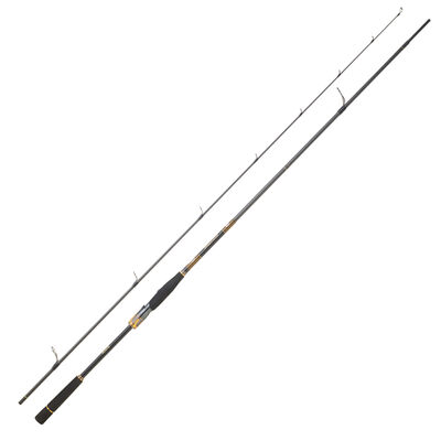 Canne Spinning DAIWA Morethan Branzino Expert 2m44 14-42g - Cannes lancer | Pacific P&ecirc;che