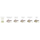 Leurre Souple Shad Fiiish Blaster Shad 16cm, 53g - Shads | Pacific P&ecirc;che