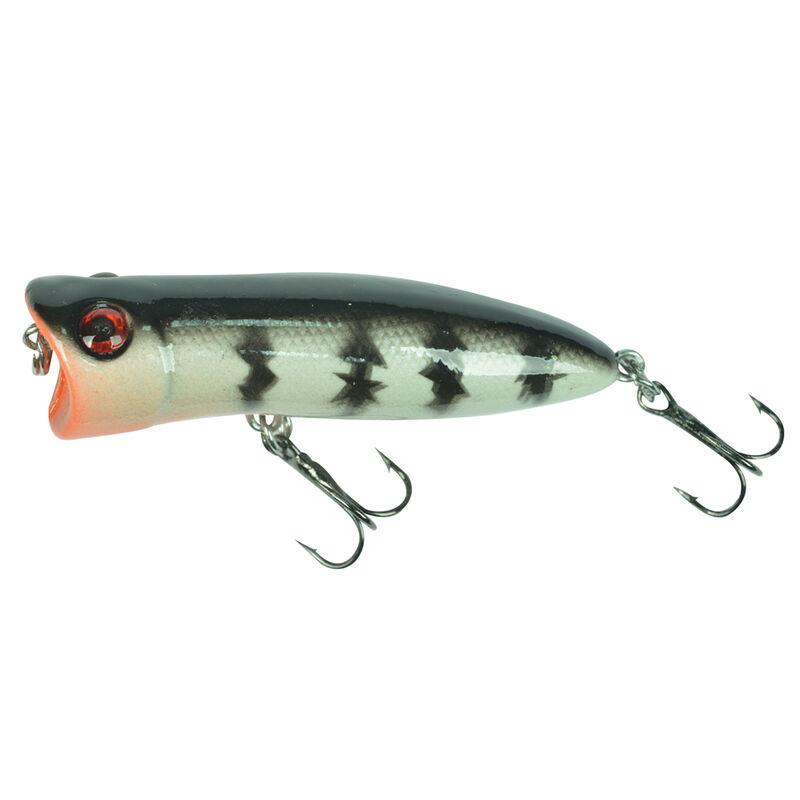 Kit de Leurres de Surface Redfish 10 Poppers - D&eacute;couverte P&ecirc;che du Carnassier | Pacific P&ecirc;che