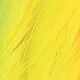 Couleurs