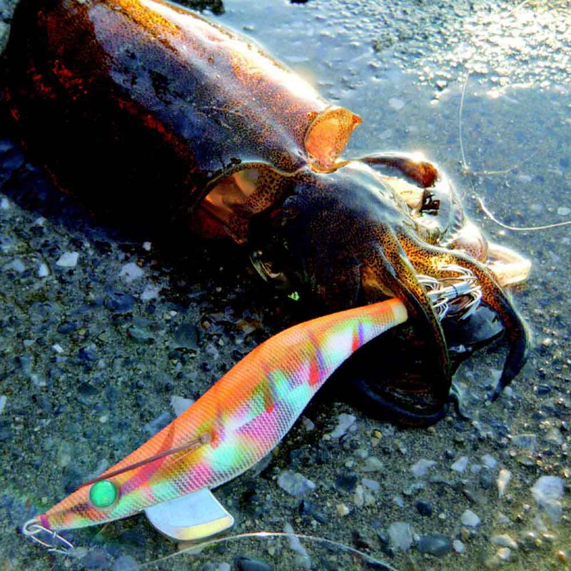 Turlutte mer yamashita egi sutte r 2.5 10cm 10g - Turluttes | Pacific P&ecirc;che