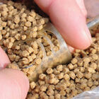 Pellet feeder coup guru in line pellet - Cages | Pacific P&ecirc;che