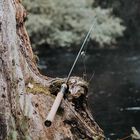 Canne Spinning Evok Invictus Trout 722ML 2.19m, 5-14g - Cannes Spinning | Pacific P&ecirc;che