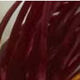 Couleurs