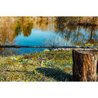 Canne Feeder TEOS Blackrider 390 XX Power Distance Feeder 50-160g - Cannes feeder | Pacific P&ecirc;che