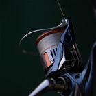 Moulinet Spinning Shimano Nasci FD 2500 HG - Moulinets Spinning | Pacific P&ecirc;che