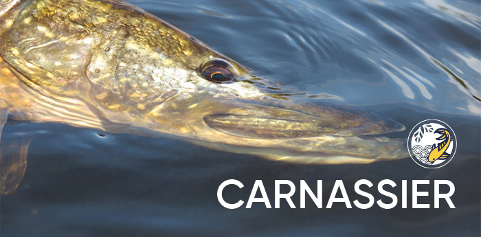 PROMO Carnassier | Pacific Pêche
