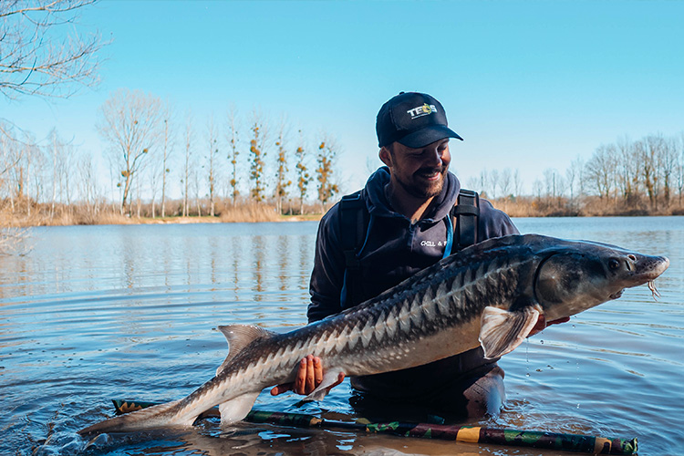 Pêche de l’esturgeon