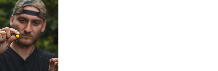 Raccord du bas de ligne