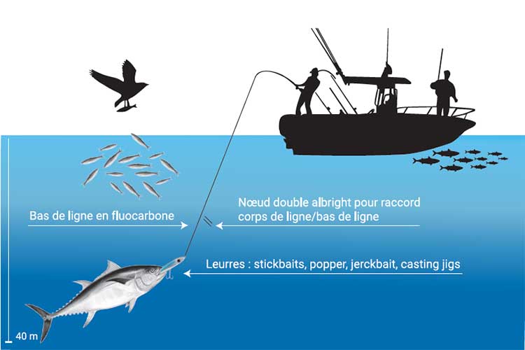 Conseils sur la pêche du thon au lancer  I Pacific Pêche