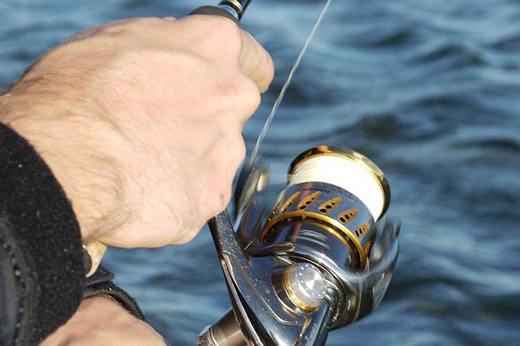 Le bon moulinet spinning pour pêcher aux leurres en eau douce et en mer