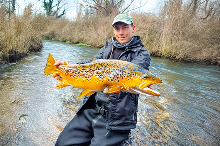 Pêche de la truite fario